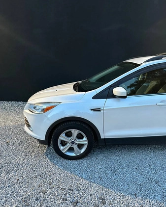 Ford Escape cena 38500 przebieg: 186000, rok produkcji 2015 z Zgorzelec małe 326